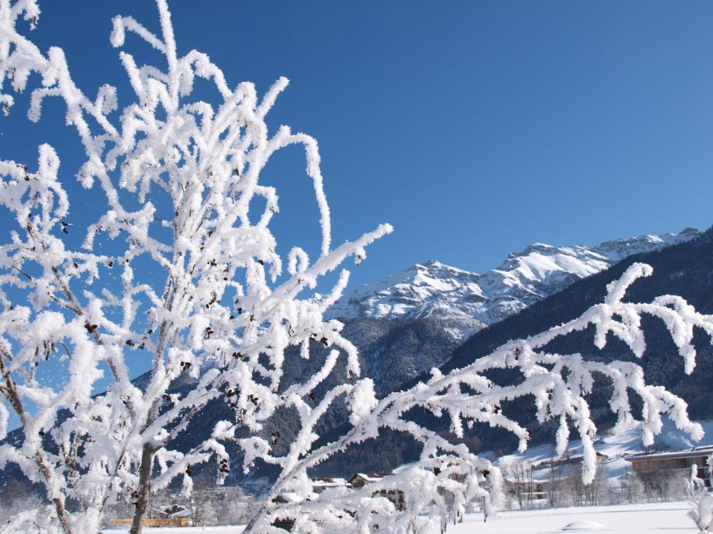 Ferienwohnung Mondial Neustift im Stubaital Exterior photo